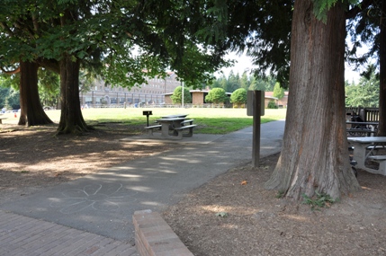 picnic area