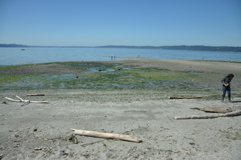 Beach at Saltwater State Park