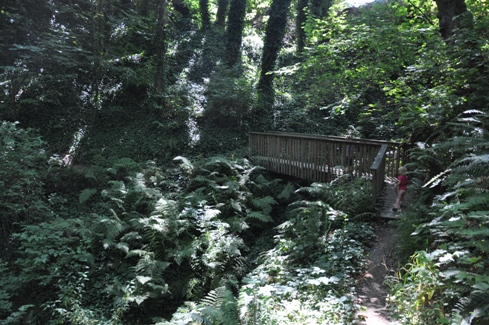 Saltwater State Park trail