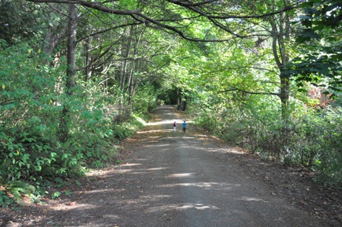 Schmitz Reserve Park trail