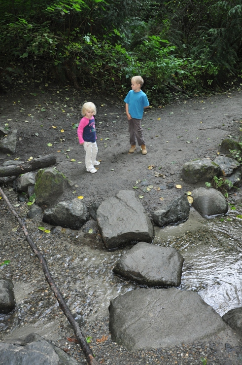 Stream in Schmitz Reserve