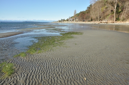 hiking puget sound