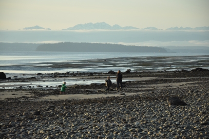 Olympic Mountains
