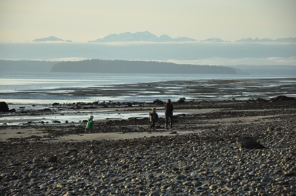 Olympic Mountains