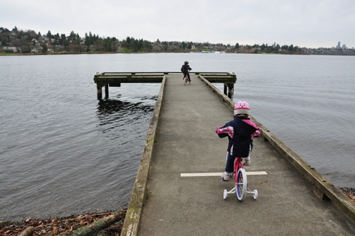 lake washington dock