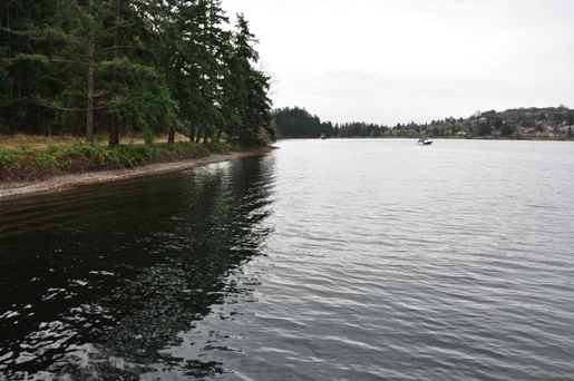 lake washington