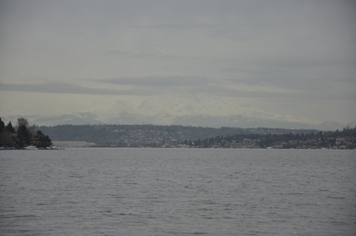 mount rainier