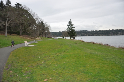 seward park trail