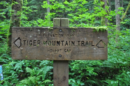Tiger mountain sign