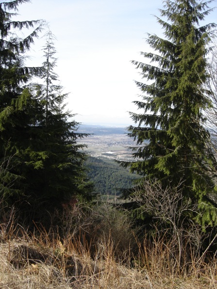 View of Orting 