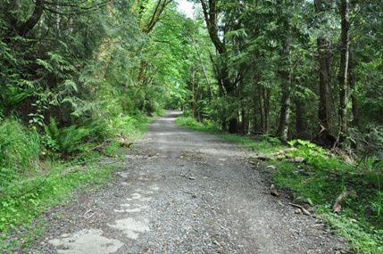 Squak Mountain Road