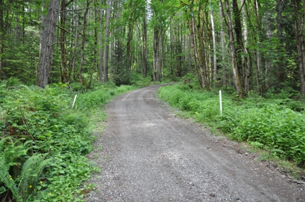 Squak Mountain Road