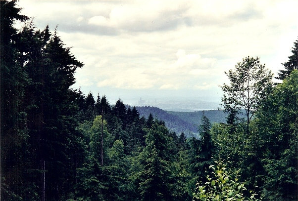 Squak Mountain view