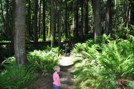 Squak Mountain Trail