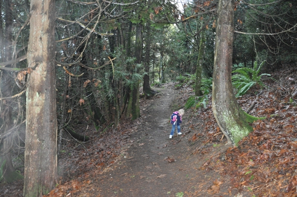 bellevue parks trails