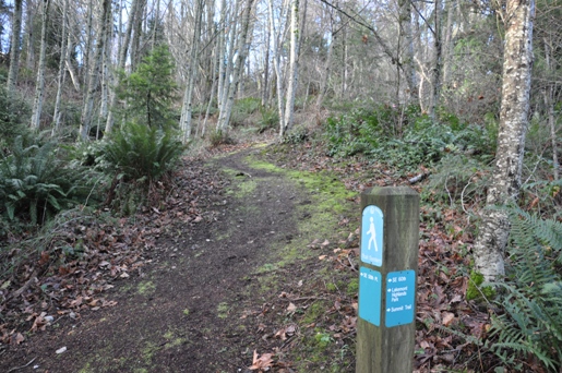 trail sign