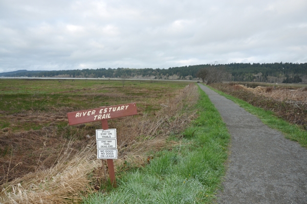 river estuary