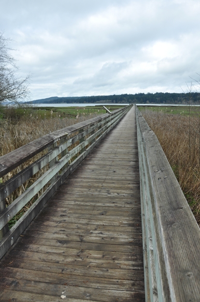 Tital Marsh Trail