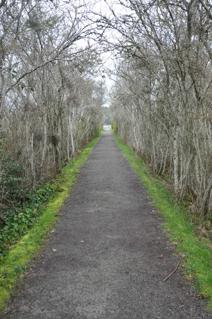 wetlands