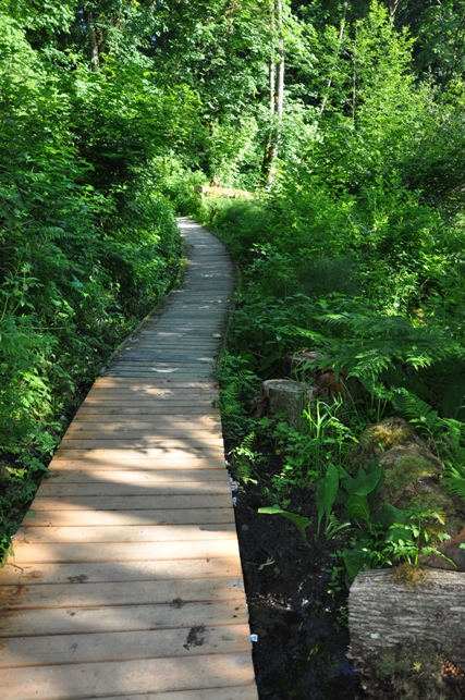 boardwalk at tolmie