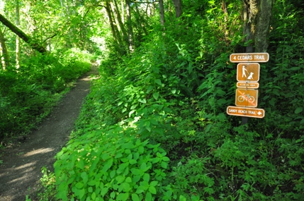 4 Cedars Trail 