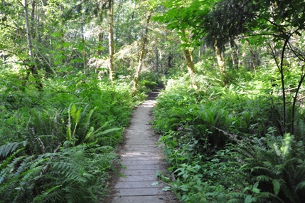 hiking tolmie state park