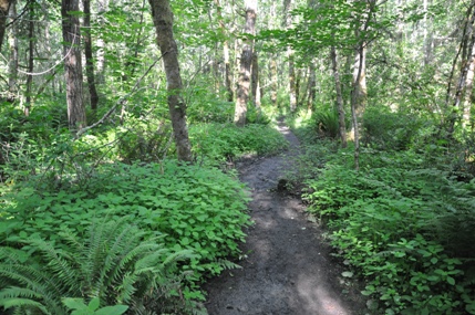 hiking tolmie state park