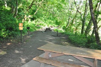 picnic at Tolmie State Park