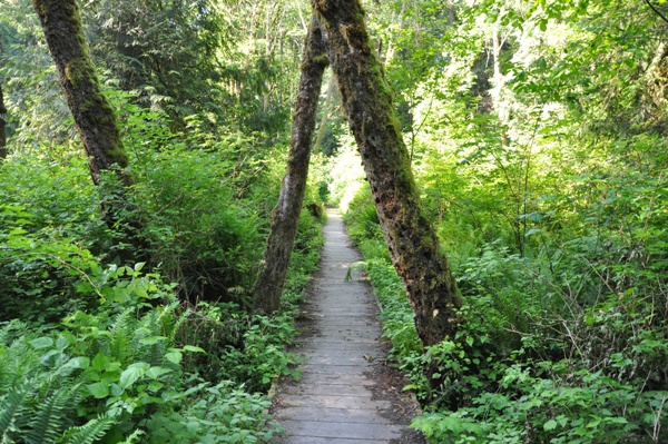 hiking tolmie state park