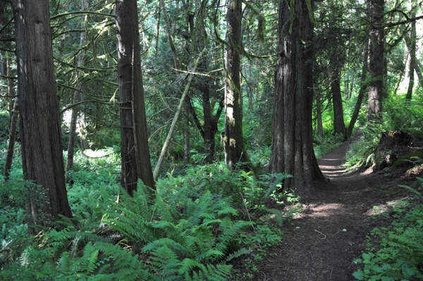 hiking tolmie state park