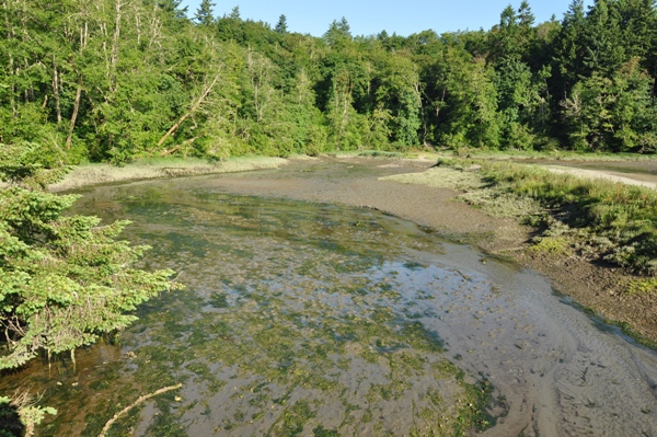 tolmie state park