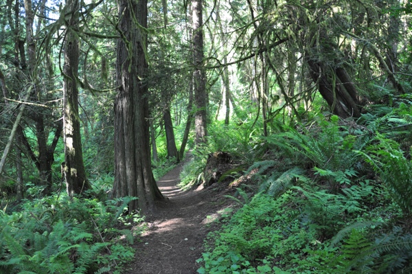 hiking tolmie state park