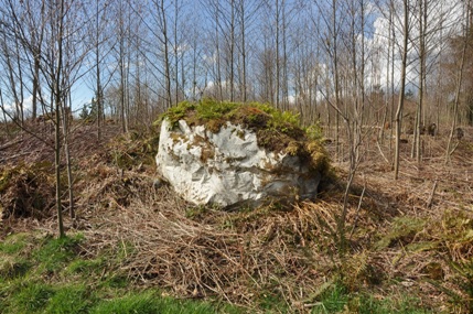 glacier rock