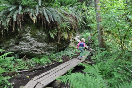 wilderness creek trail