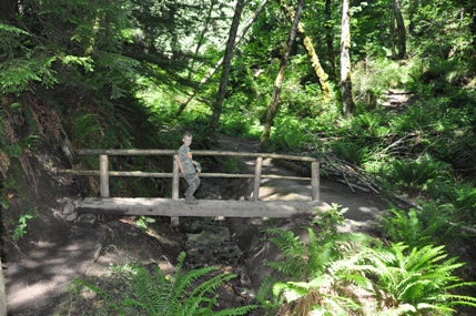 wilderness creek bridge