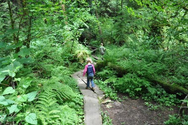 wilderness creek trail