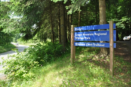 wilderness creek trailhead