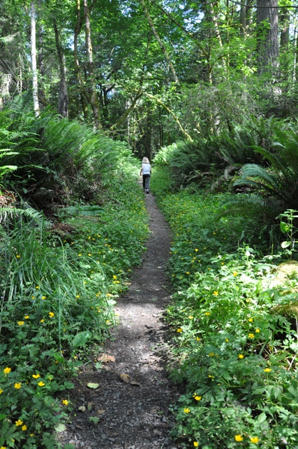 hiking trail