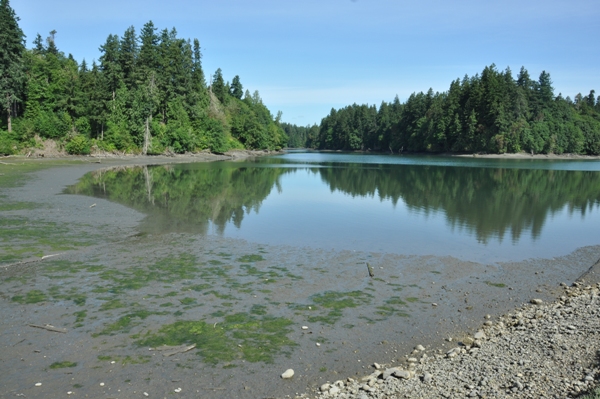 Chapman Bay