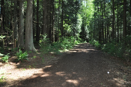 sammamish hiking