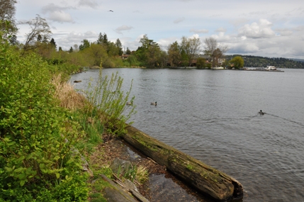 Lake Washington