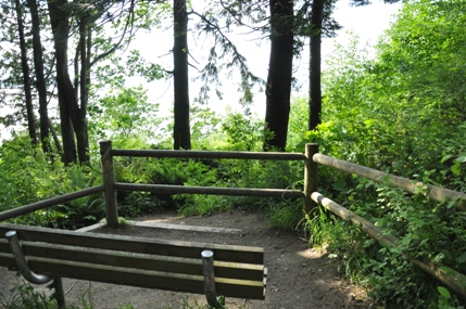 Carkeek Park