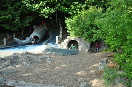 Salmon Playground