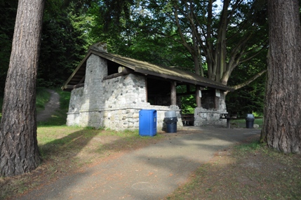 Carkeek Picnic