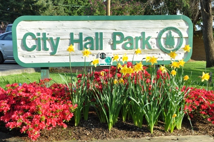city hall park