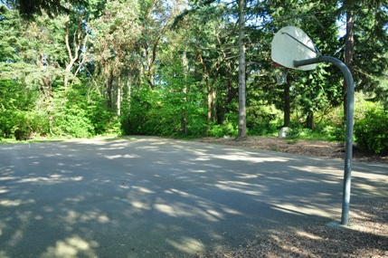 Basketball court