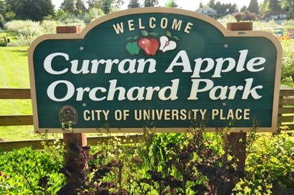 Curran Apple Orchard Park