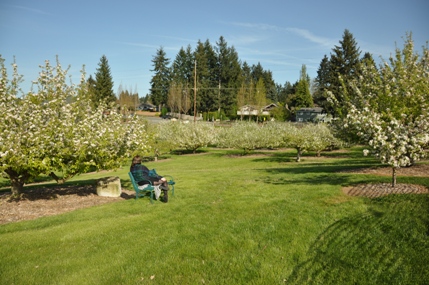 Curran Apple Orchard Park