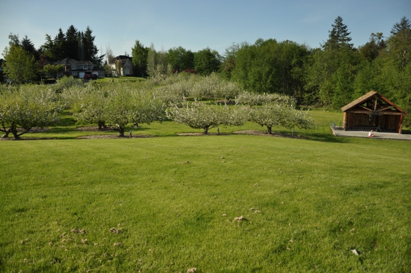 Curran Apple Orchard Park