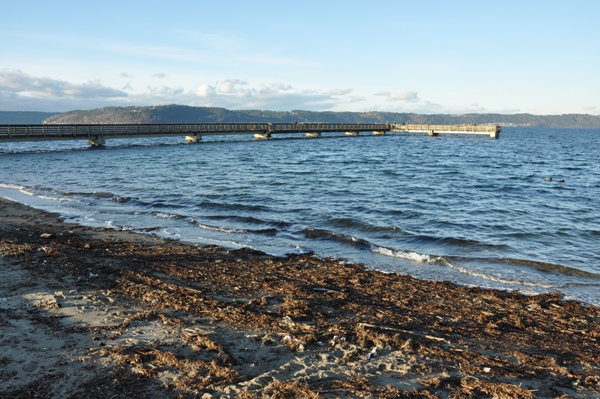 dash point pier